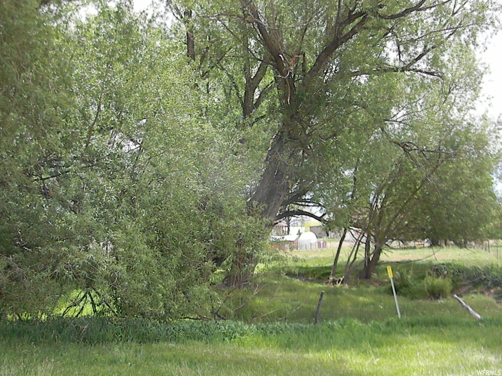 50 100 N W Fountain Green, Utah (A2210CS) Prettiest lot you'll ever find! No exaggeration, this lot is beautiful! Right in the heart of Fountain Green. Huge willow trees with a small stream running through the lot. Sewer and water are stubbed. Only 1 house can be built on this lot. Nice pasture and so much charm and beauty here. Fountain Green is just 15 minutes to the freeway. Come and enjoy the peace of country living. 1 share of Fountain Green Irrigation water is available for purchase outside of listing contract.