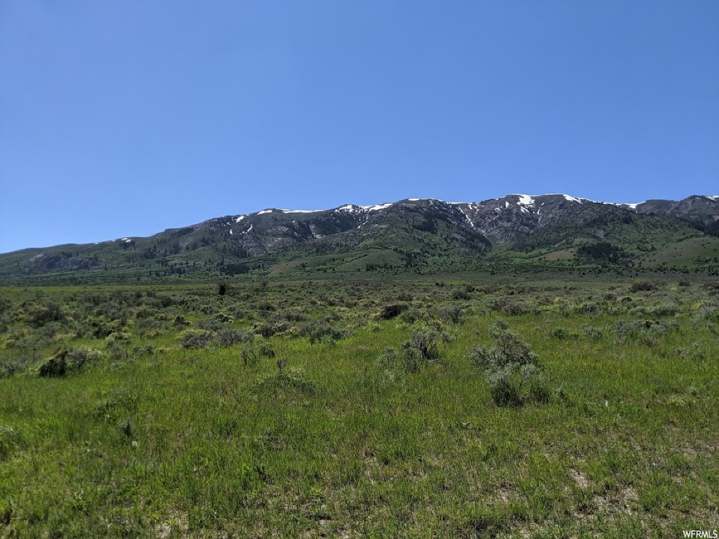 McCammon, ID 83250