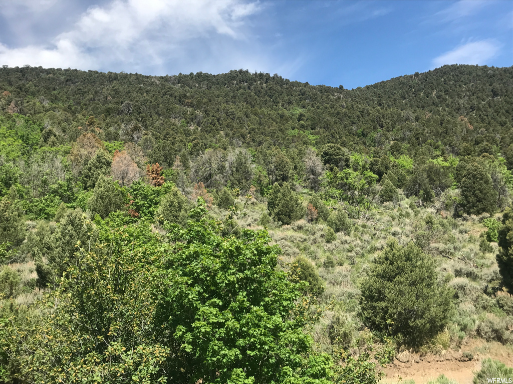 5 Tintic- National, Eureka, UT 84628
