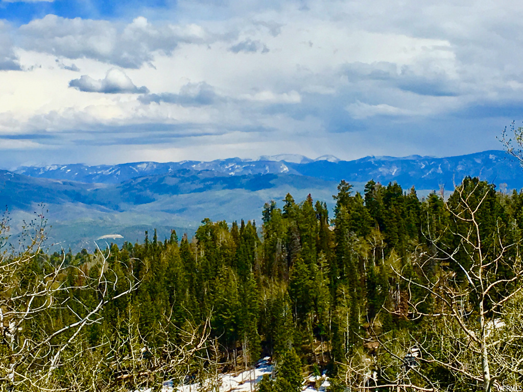 2146 Pine Loop Rd #F-43, Wanship, UT 84017