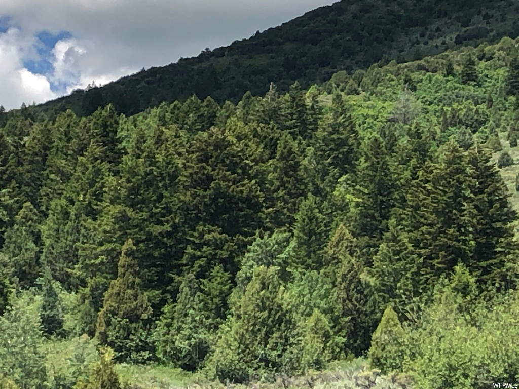 1645 Lund Rd, Bancroft, ID 83217