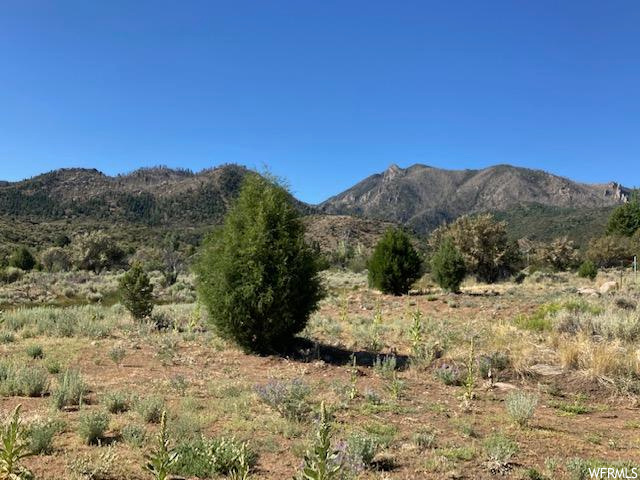 #4/7B, Pine Valley, UT 84781