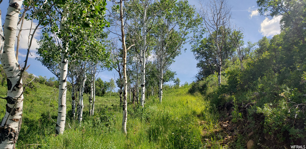 117 Trappers Loop W #117, Echo, UT 84024