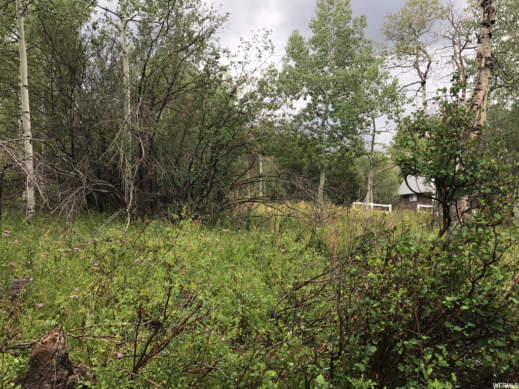 135 Camanche Pass #135, Oakley, UT 84055
