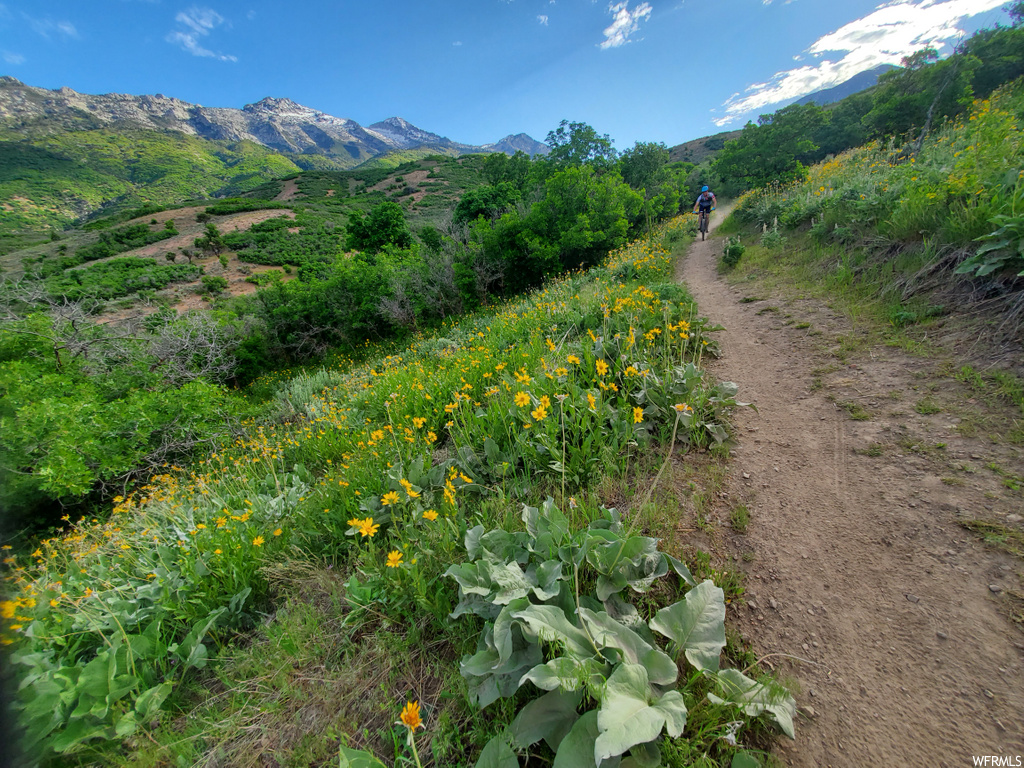 476 E Adam Cir #64, Alpine, UT 84004