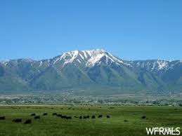 638 S 400 W #22, Mona, UT 84645
