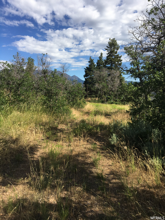 #76, Fountain Green, UT 84632