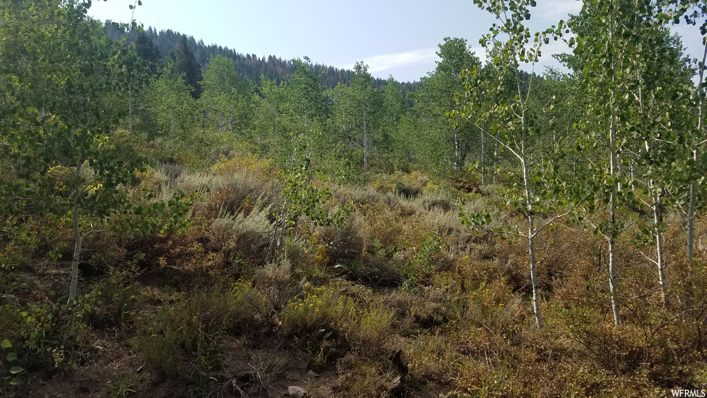 58 Aspen Loop #58, Oakley, UT 84055