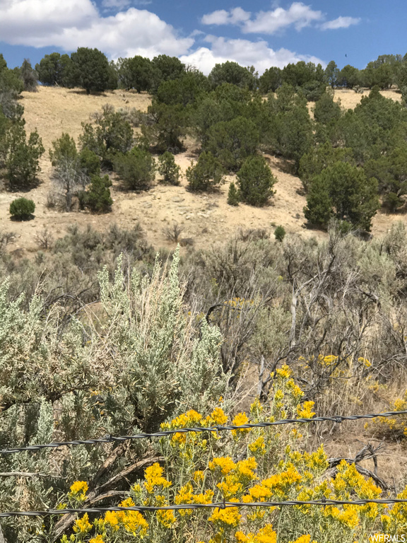 33710 N 8300 E #2, Fairview, UT 84629