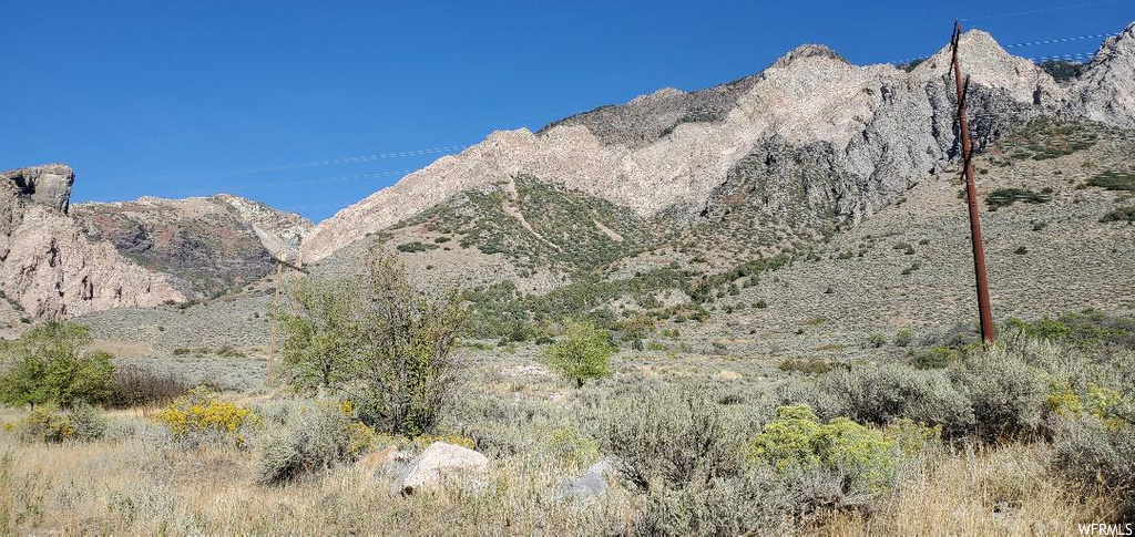 165 S Haul Rd E, Willard, UT 84340