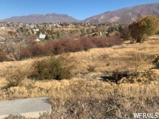 1369 E Heather Dr, Layton, UT 84040