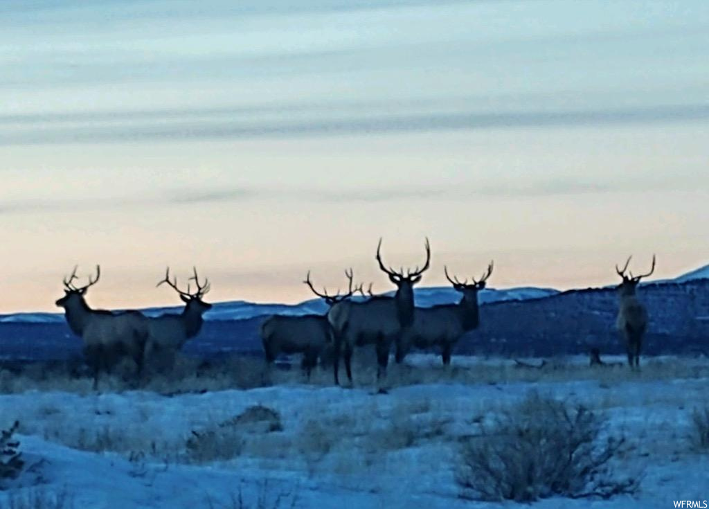 #5, Duchesne, UT 84021