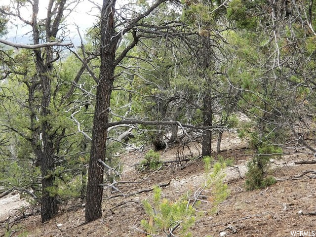 #140, Indianola, UT 84629