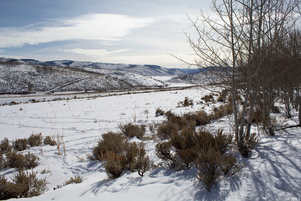 #49, Scofield, UT 84526