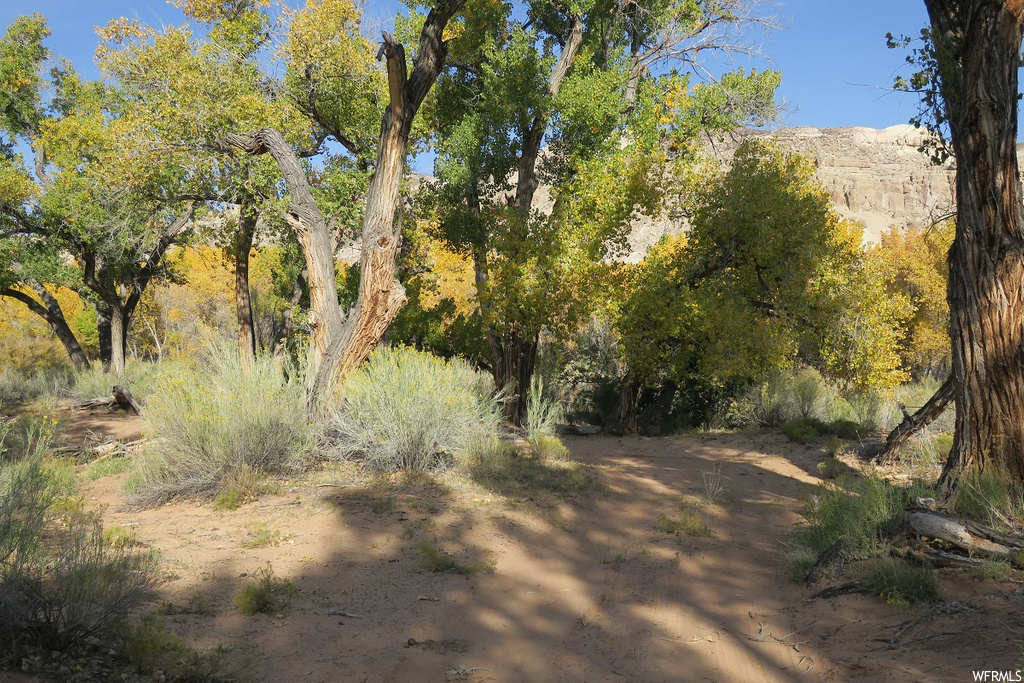 5500 E Highway 24 St N, Torrey, UT 84775