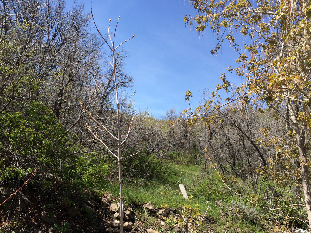 3000 E Lefthand Fork #40, Springville, UT 84663