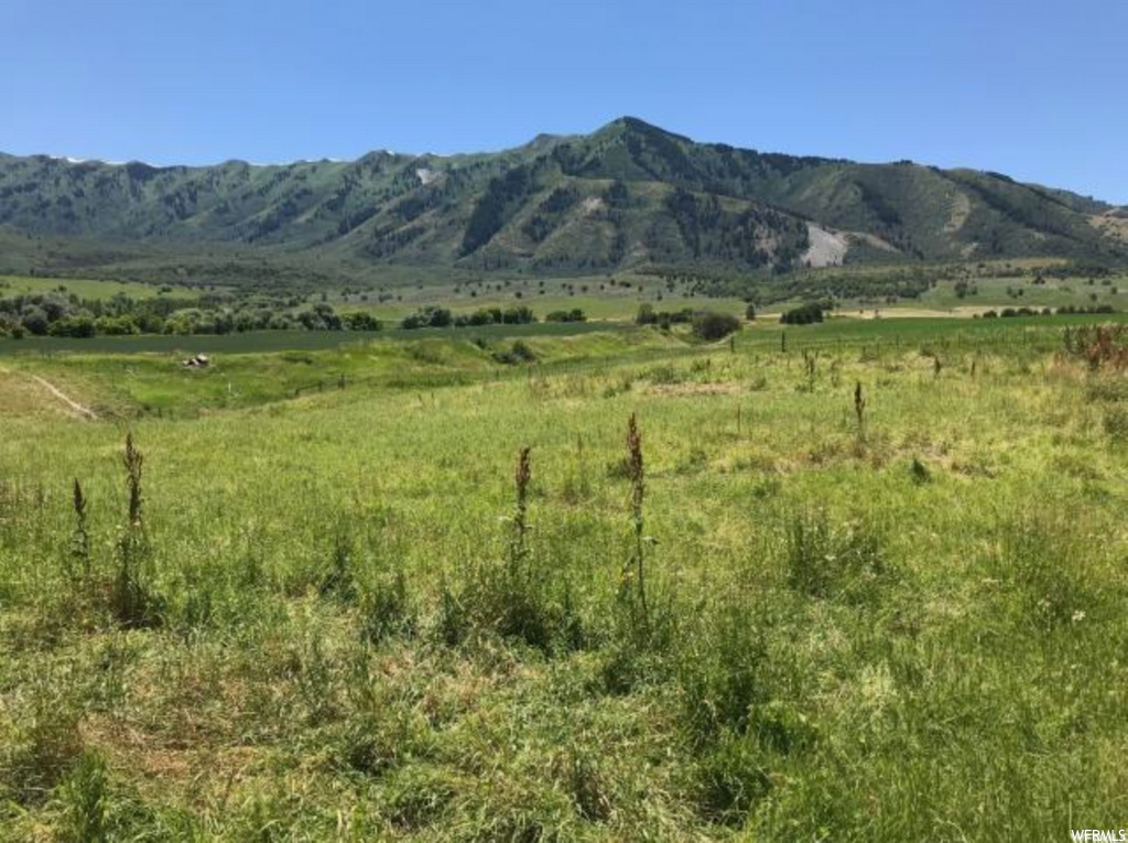 Mendon, UT 84325