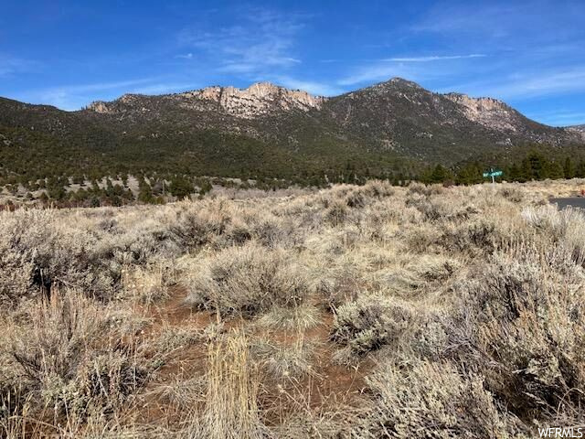 #4, Pine Valley, UT 84781