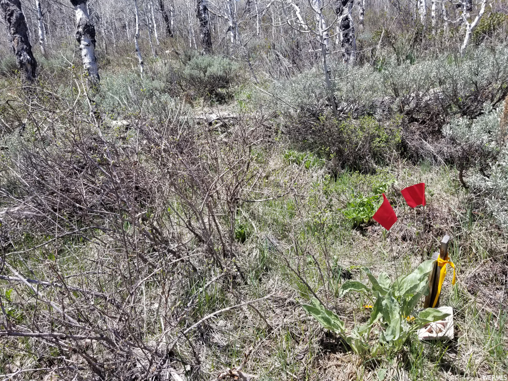 #128, Huntsville, UT 84317