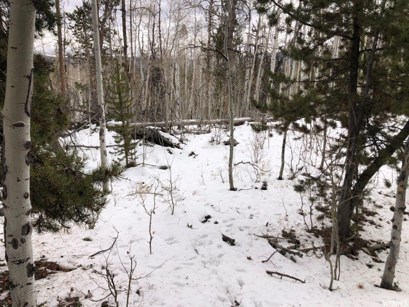 3036 Uinta Dr #74C, Kamas, UT 84036