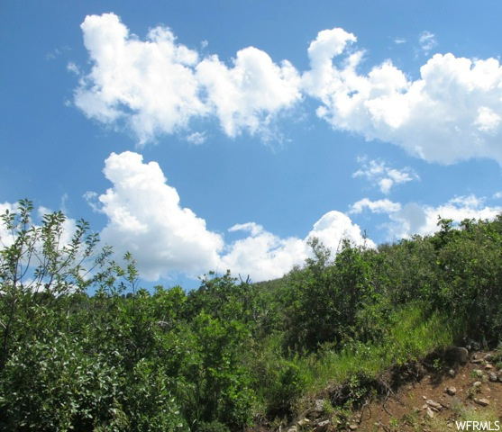 947 Lower Rdg #30, Kamas, UT 84036