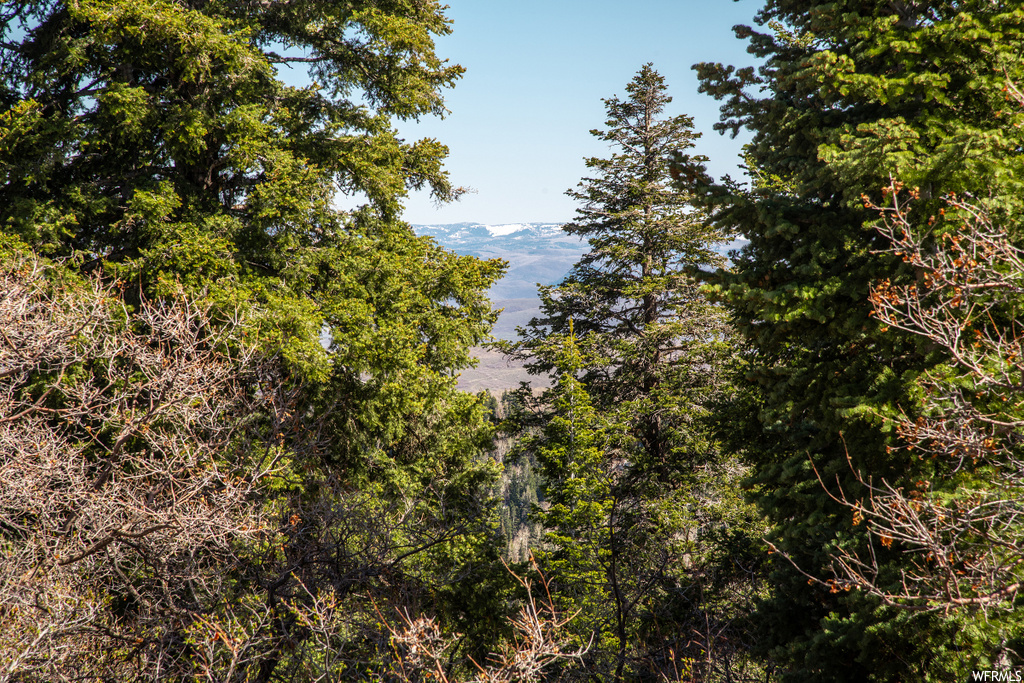 1172 W Maple Pl, Wanship, UT 84017