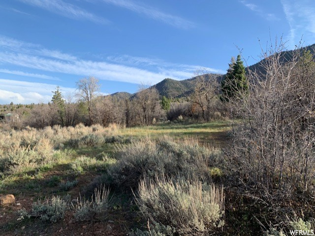 #72, Fountain Green, UT 84632