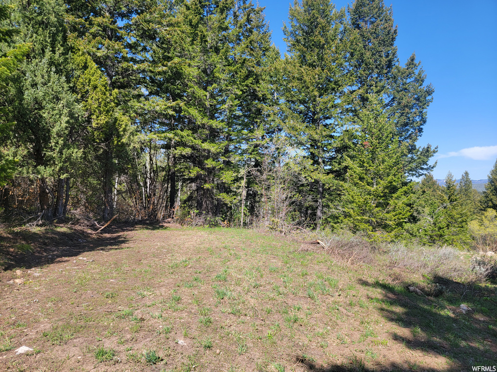 00  BARE GROUND Bancroft, ID 83217