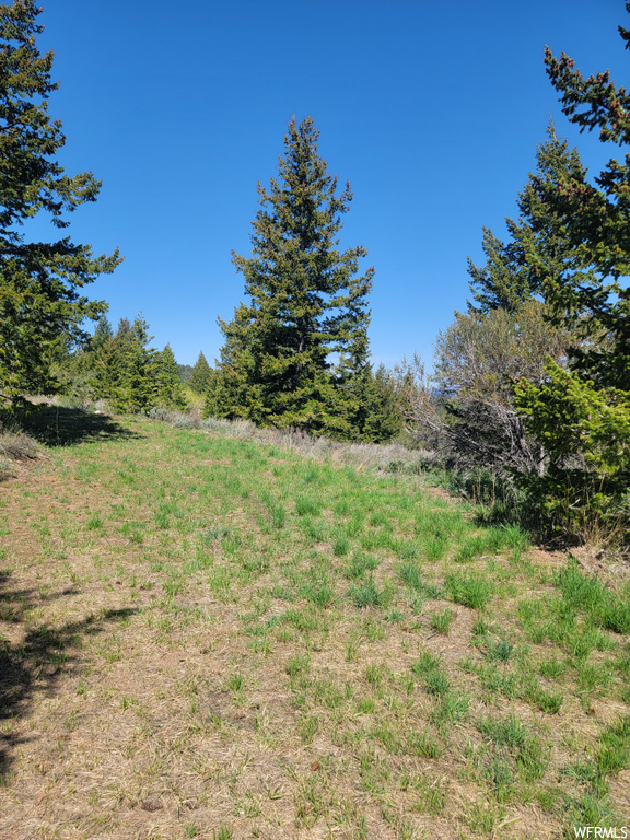 00  BARE GROUND Bancroft, ID 83217
