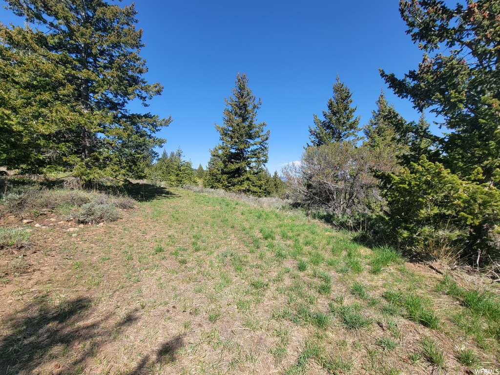 00  BARE GROUND Bancroft, ID 83217
