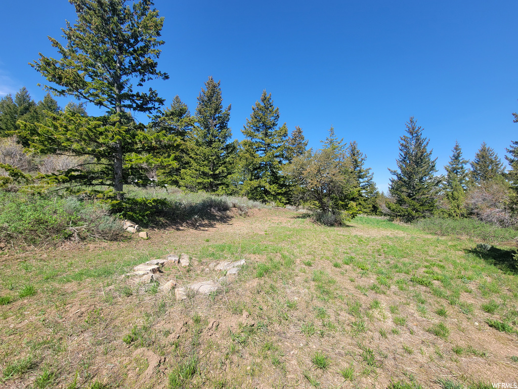 00  BARE GROUND Bancroft, ID 83217