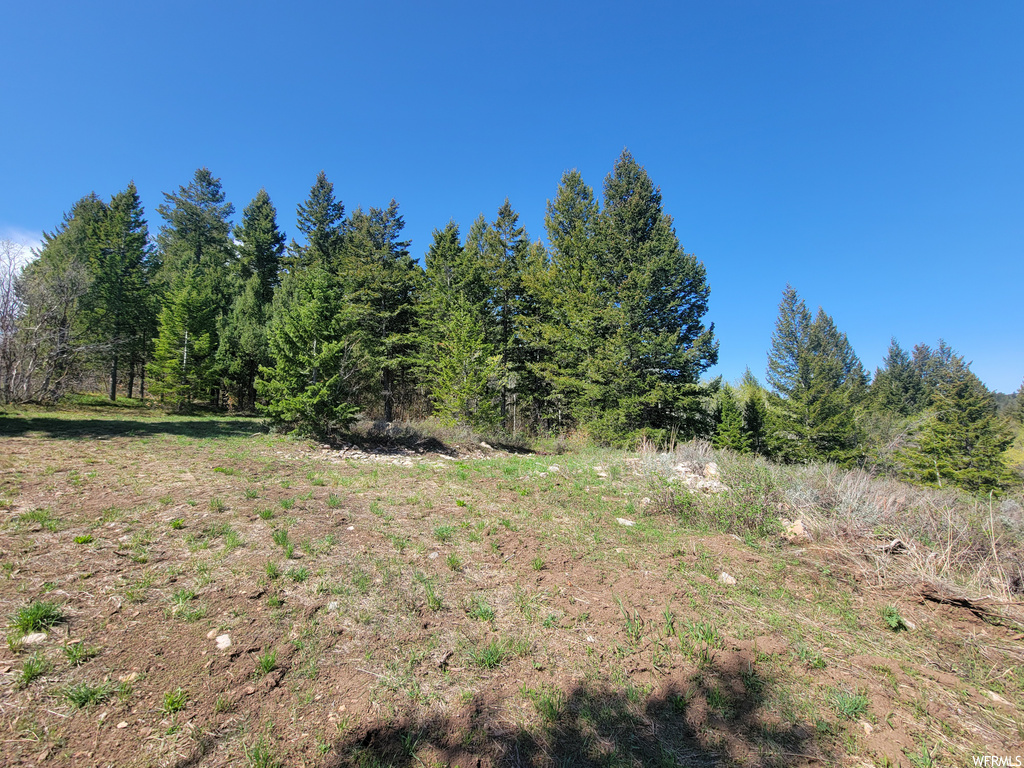 00  BARE GROUND Bancroft, ID 83217