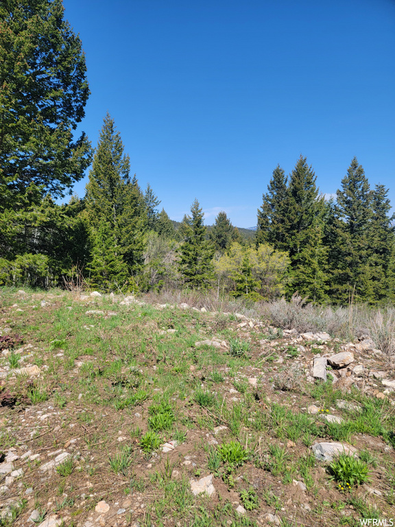 00  BARE GROUND Bancroft, ID 83217