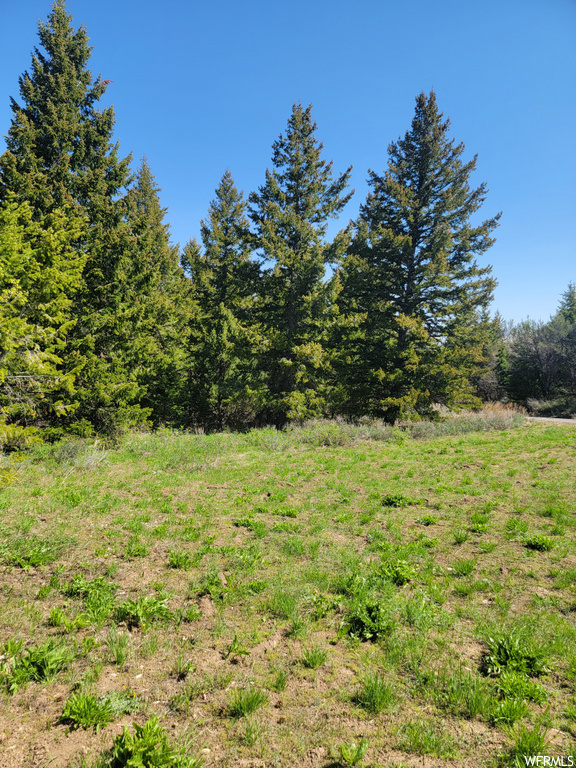 00  BARE GROUND Bancroft, ID 83217
