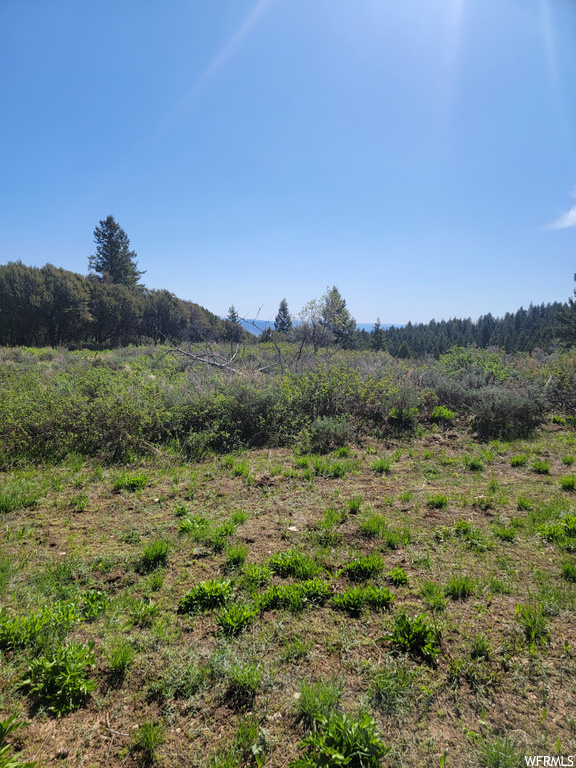 00  BARE GROUND Bancroft, ID 83217
