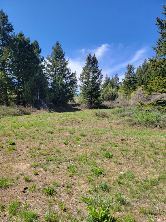 00  BARE GROUND Bancroft, ID 83217