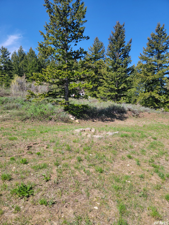00  BARE GROUND Bancroft, ID 83217