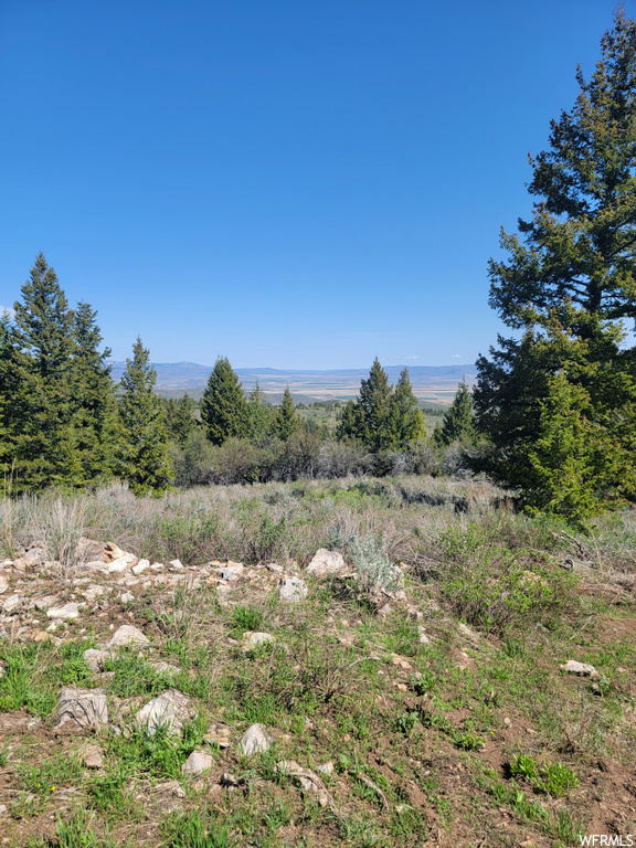 00  BARE GROUND Bancroft, ID 83217
