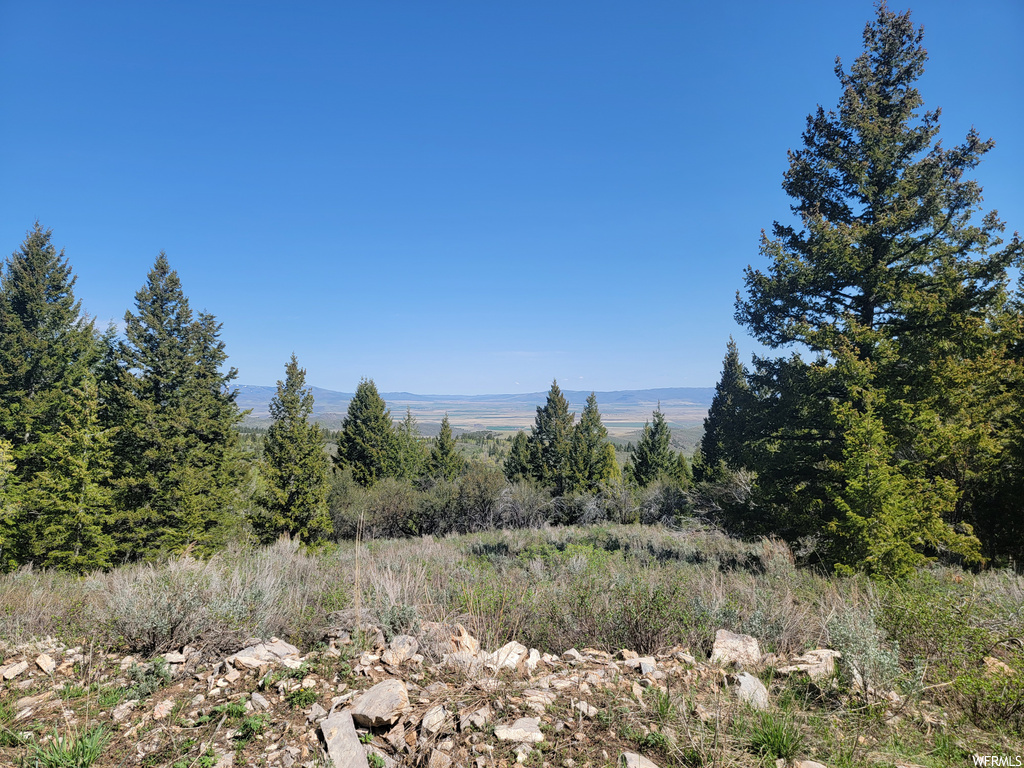 00  BARE GROUND Bancroft, ID 83217