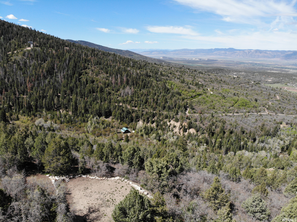#21, Mt Pleasant, UT 84647