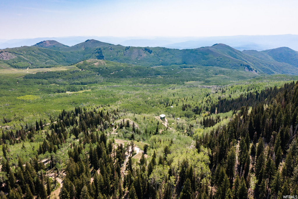 2503 W Spruce Rd, Midway, UT 84049