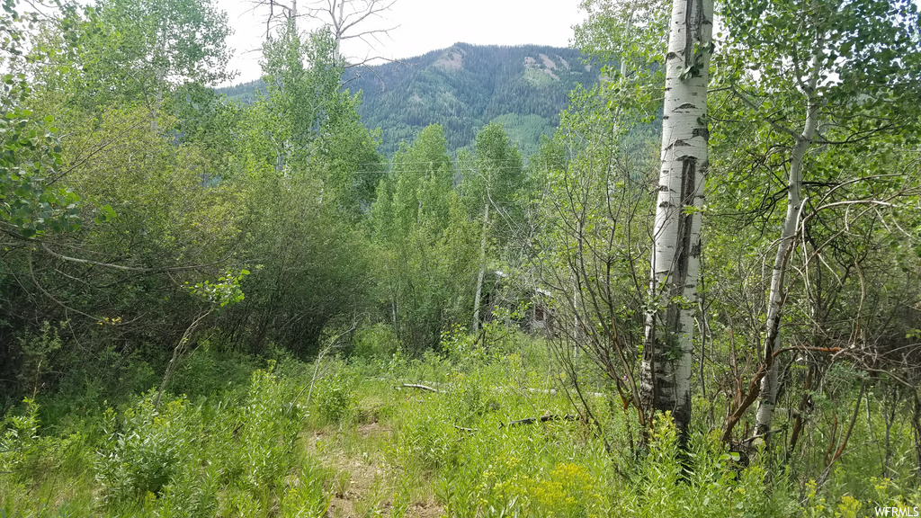 35 Shoshone #35, Oakley, UT 84055