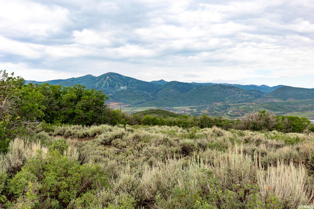 1285 E Lasso Trl, Hideout, UT 84036