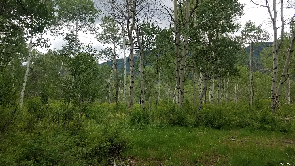 32 Colter Rd #32, Oakley, UT 84055
