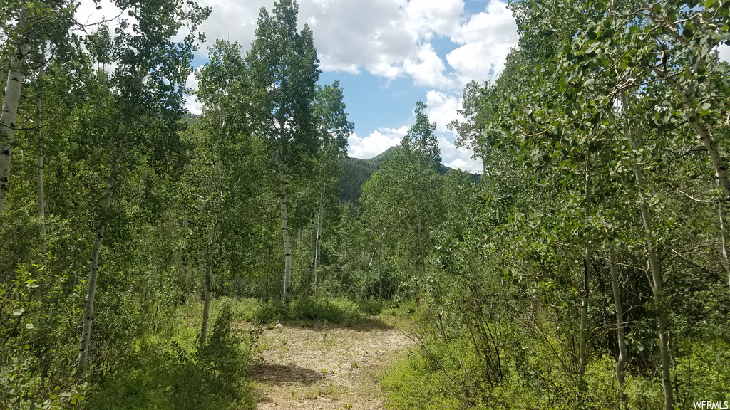 6700 E Orange Rock Rd #50, Oakley, UT 84055