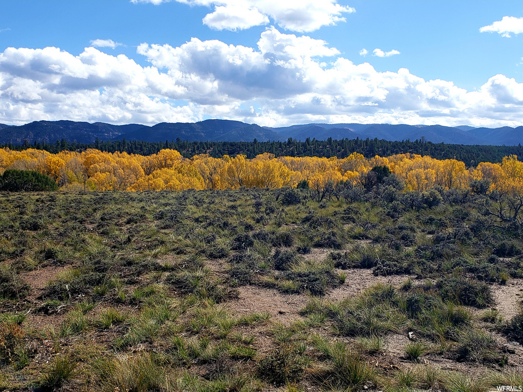 #5, Hatch, UT 84735