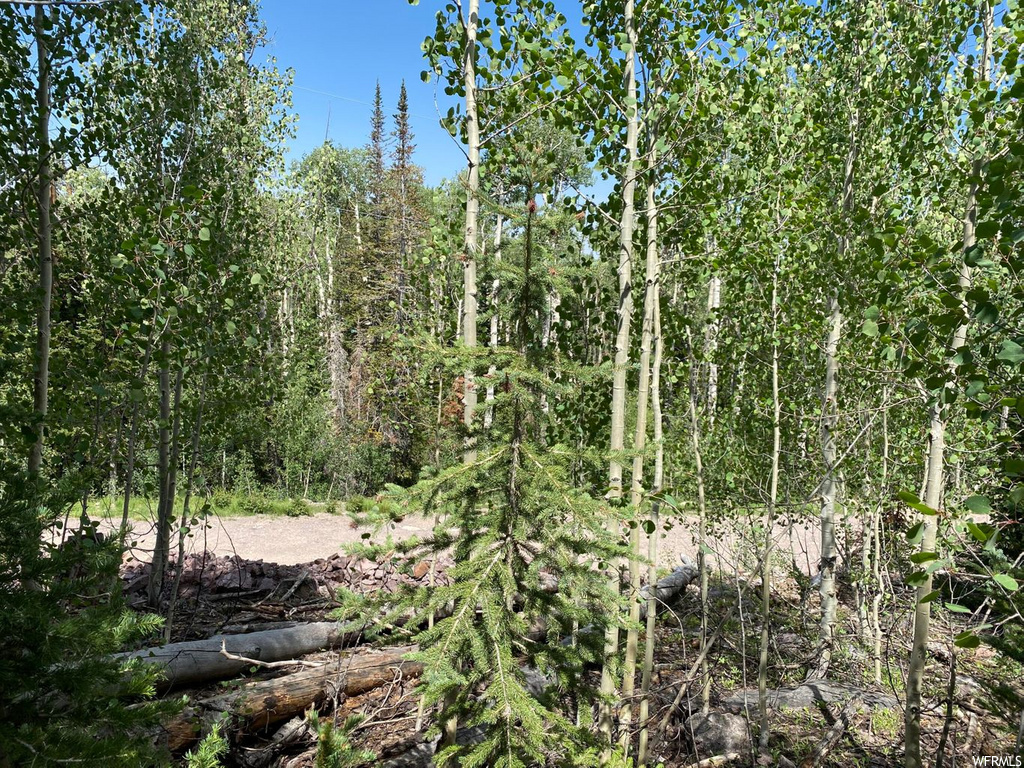 458 E Trail Rd #35, Brian Head, UT 84719