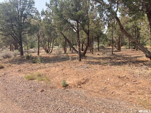 #15, Central, UT 84722