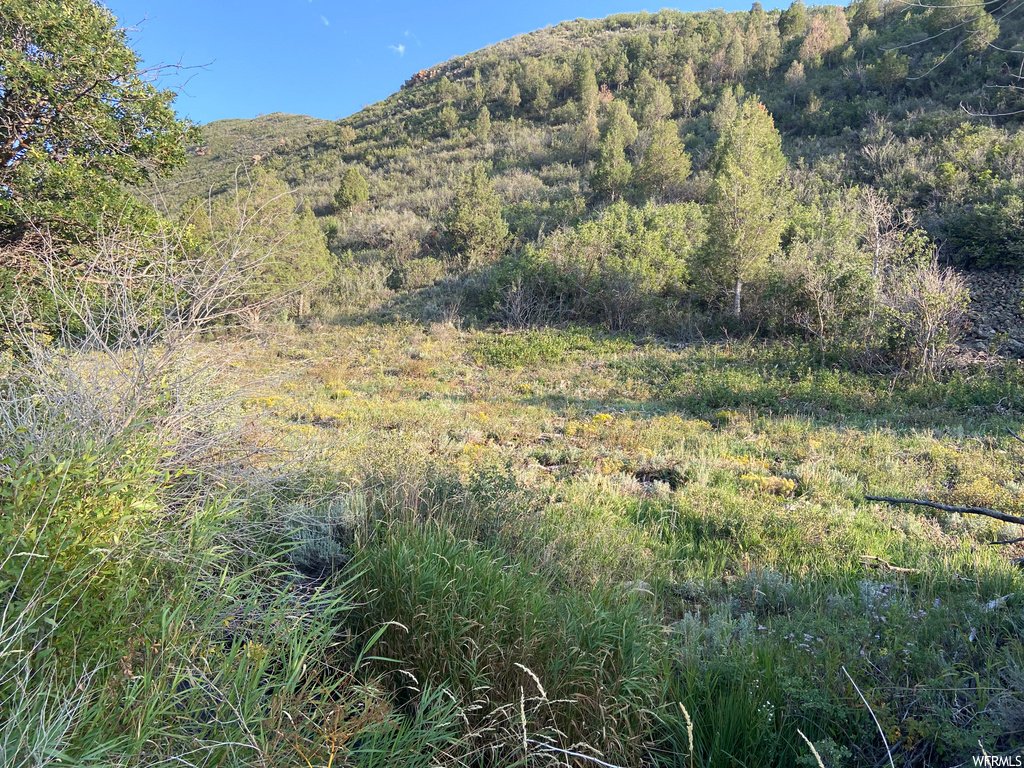 652 Gristmill Ln, Kamas, UT 84036