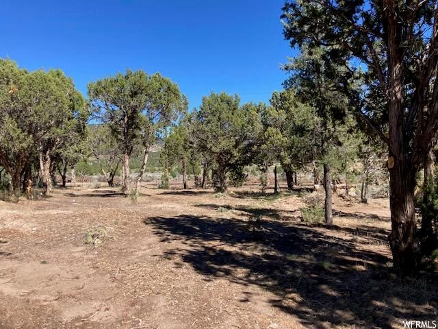 #21, Central, UT 84722